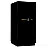 Сейф Burg–Wachter E 516 E lak Bio black