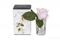 96СN-R46 Диффуз.Rose Bud French Pink,спрей White Gardenia 5мл уп