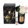 96СN-RB42 Диффузор Rose Bud Pink, спрей Rose Petal 5мл в упак.