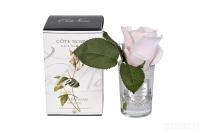 96CN-R46 Диффуз.Rose Bud French Pink,спрей White Gardenia 5мл уп