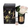 96CN-RB42 Диффузор Rose Bud Pink, спрей Rose Petal 5мл в упак.