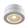 Потолочный светильник Technical C022CL-L12W4K