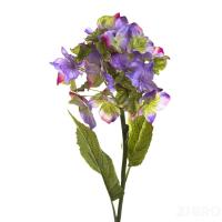 7A16F00017 Гортензия фиолетовая 87,5см (12)
