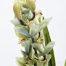 29BJ-911-33 Орхидея CYMBIDIUM белая искусственная в горшке h110 см