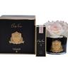 96CN-R60100 Диффузор Five Rose Ivory White, спрей Charente Rose 10мл,уп.