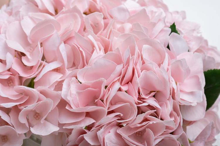 96CN-RB0020 Диффузор Hydrangea&Rosebud pink , спрей Eau de vie 2*10ml в упак.